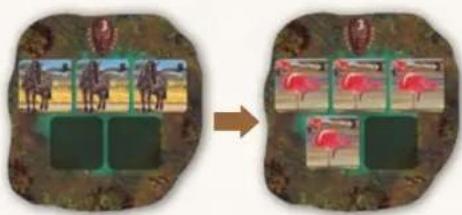 Jumbo Okavango - PHASE 1: ALLOWING YOUR ANIMALS TO DRINK - 2
