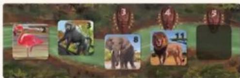 Jumbo Okavango - PHASE 2: PUNKTE ERHALTEN - 12