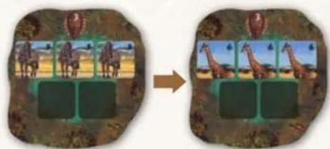 Jumbo Okavango - PHASE 1: ALLOWING YOUR ANIMALS TO DRINK - 1