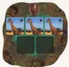 Jumbo Okavango - Algemeen: - 2