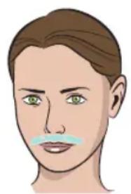 HOMEDICS Duo Salon - Advertencias - 1