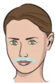 HOMEDICS Duo Salon - En el modo Pulsacion unica (niveles 3, 4 y 5) - 2