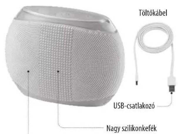 HOMEDICS Blossom - BIZTONSÁGI ÓVINTÉZKEDÉSEK: - 1