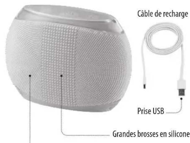 HOMEDICS Blossom - WEEE explanation - 1
