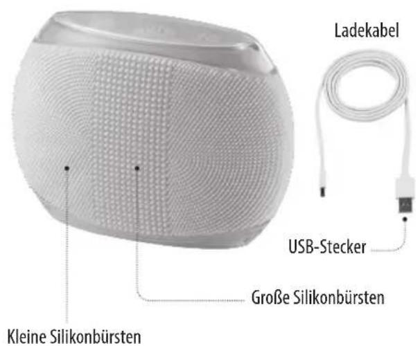 HOMEDICS Blossom - SICHERHEITSVORKEHRUNGEN : - 1