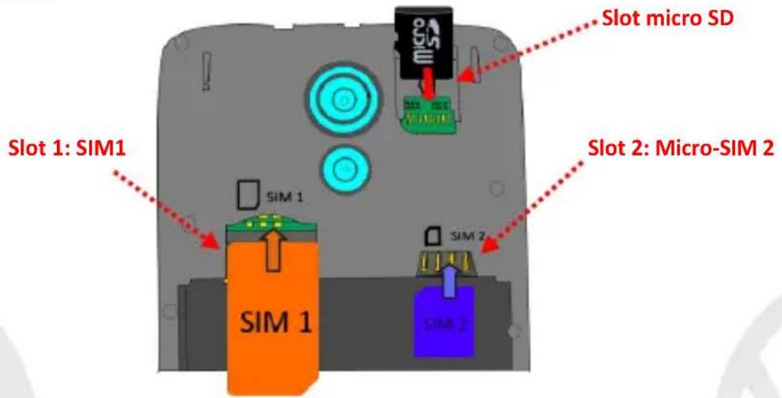 NGM-Mobile You Color P503 - Assemblaggio - 1