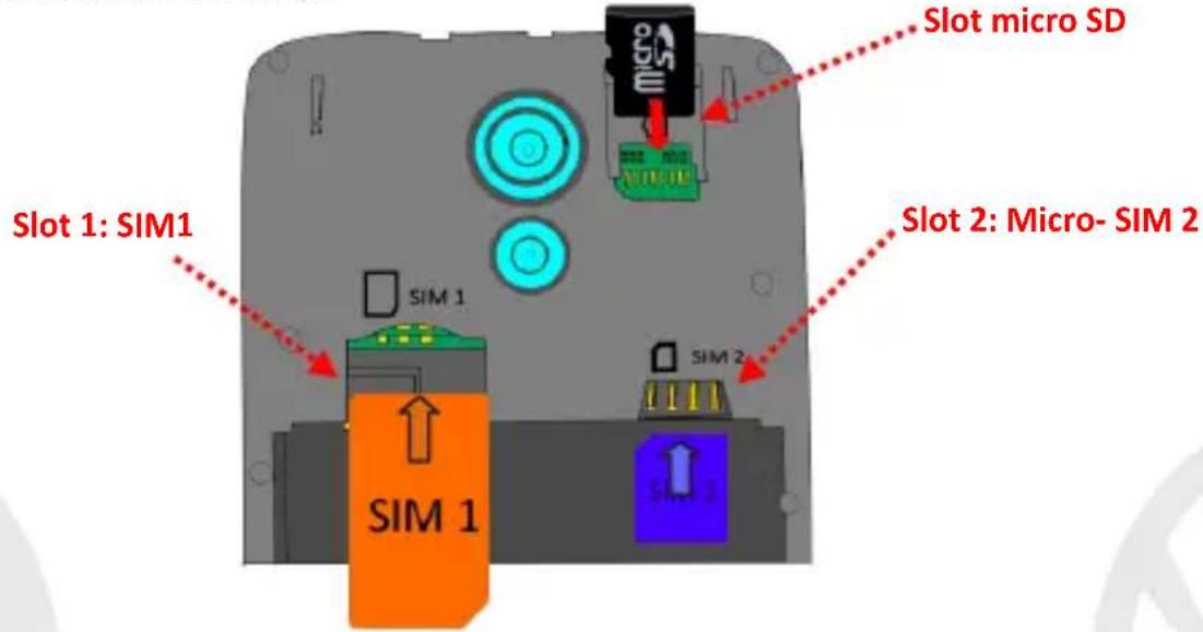 NGM-Mobile You Color P503 - Montaje - 1