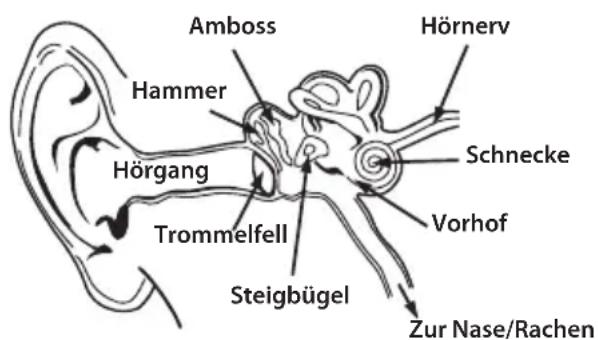 MONSTER Elements Wireless OverEar - Nutzen Sie Ihren Kopfhörer verantwortungsbewusst - 1