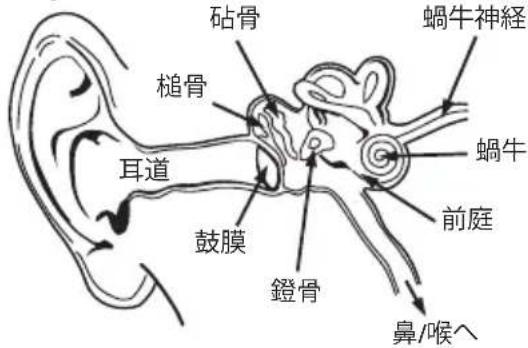MONSTER Elements Wireless OverEar - 簡略版EU適合宣言書 - 3