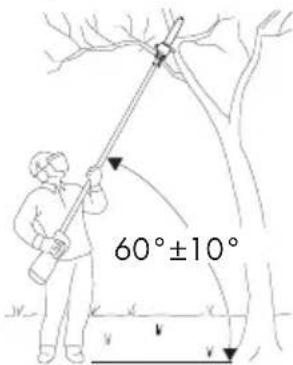 60°±10°