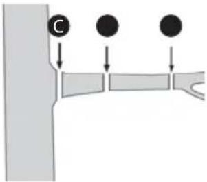 C
