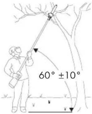 60° ±10°