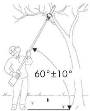 60°±10°