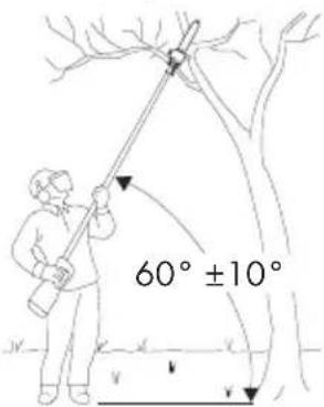 60° ±10°