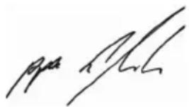 BTI WKS 17125 RE - Only for EC countries: - 4