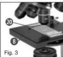 BRESSER MicroSet 40x1024x - Como observo o preparado? - 1