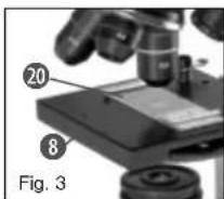 BRESSER MicroSet 40x1024x - How do I observe the specimen? - 1