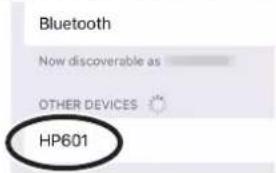 Bluetooth Now discoverable as OTHER DEVICES HP601
