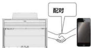 配对