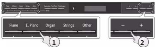 Piano 1 Piano Organ String Size Piano 1 Piano Organ String Size Piano E. Piano Organ Strings Other ① ②