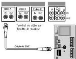 SAMSUNG SCC643AP - Connexion de cable - 1