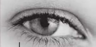 Lenson LD 8000 - Fonction TIMER - 2