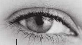 Lenson LD 8000 - Installation rapide - 6