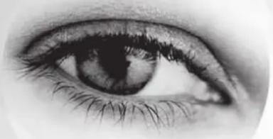 Lenson LD 8000 - Installation rapide - 2