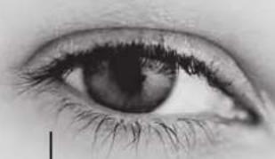 Lenson LD 8000 - Réinitialisation du terminal - 2