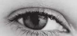 Lenson LD 8000 - Important : - 1