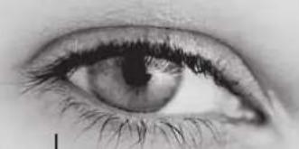 Lenson LD 8000 - Installation rapide - 2