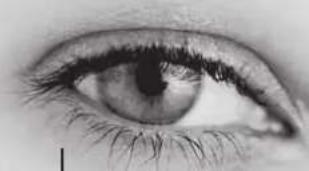 Lenson LD 8000 - Branchement à une prise secteur - 1