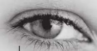 Lenson LD 8000 - Les fonctions des touches - 1