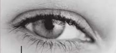 Lenson LD 8000 - Attention : - 1