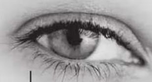 Lenson LD 8000 - Informations utiles - 2