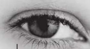 Lenson LD 8000 - Langues - 1