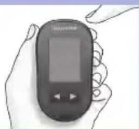 Accu-Chek Performa - 向日回 - 3