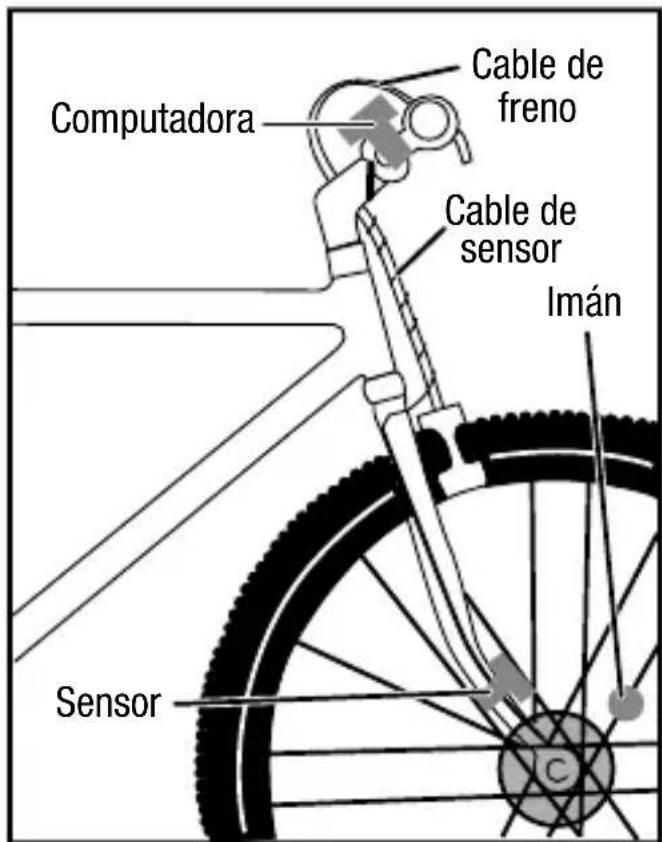 Bell EZFit - CABLEADO DEL SENSOR - 1