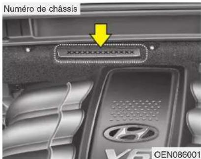 HYUNDAI Veracruz (2011) - NUMÉRO D'IDENTIFICATION DU VÉHICULE (VIN) - 1