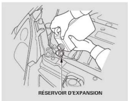 Honda Civic Hatchback (2005) - Appoint du liquide de refroidissement du moteur - 1