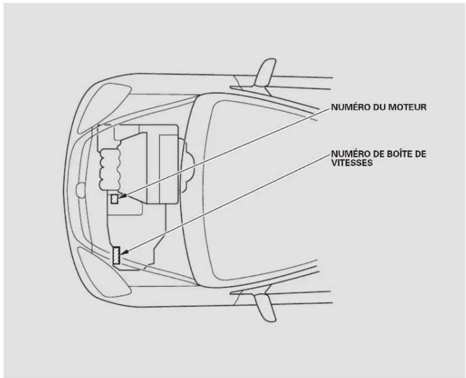 Honda Civic Hatchback (2005) - Numeros d'identification - 2