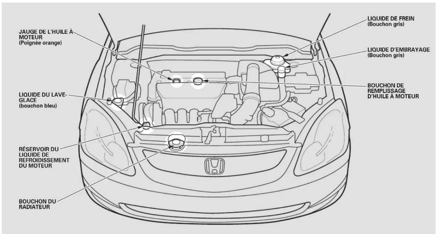 Honda Civic Hatchback (2005) - Dossier de l'entretien requis (Échéanciers pour la conduite dans des conditions normales et difficultes) - 1