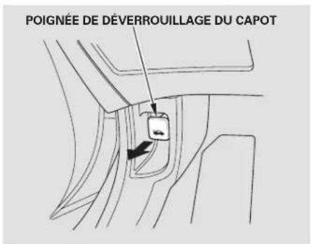 Honda Civic Hatchback (2005) - Ouverture et fermetre du capot - 1