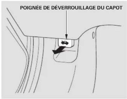 Honda Element (2003) - Dans la station-service - 1