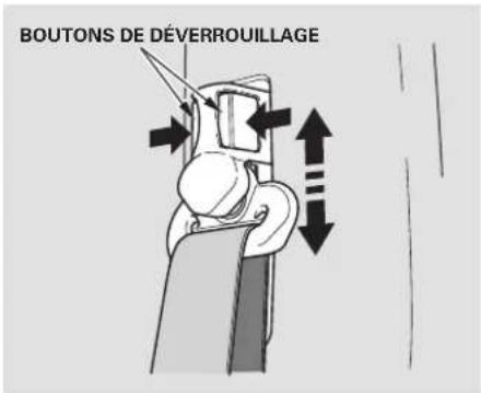 Honda Element (2003) - Protection des adults - 1