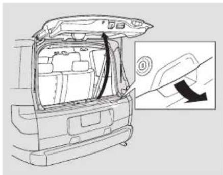 Honda Element (2003) - Hayon - 2