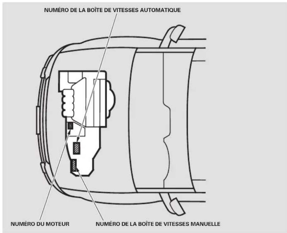 Honda Element (2003) - Numeros d'identification - 2