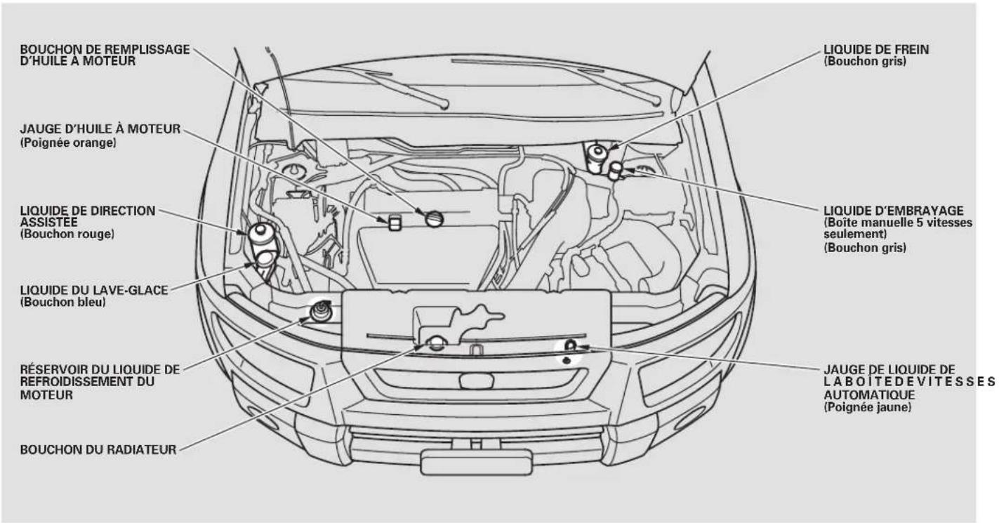 Honda Element (2003) - Points de ravitation - 1