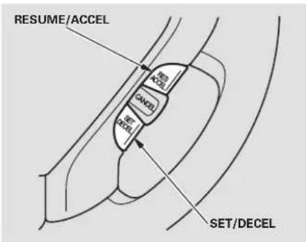 Honda Element (2003) - Régulateur de vitesse - 1