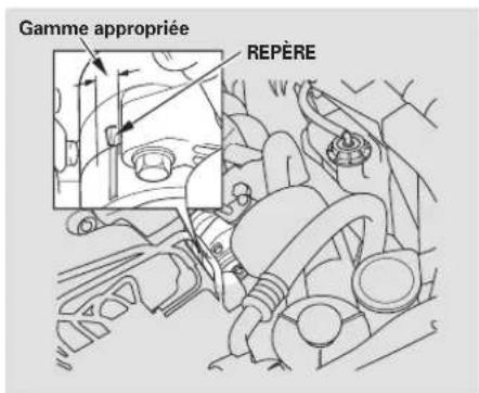 Honda Element (2003) - Courroie d'entrainment - 1